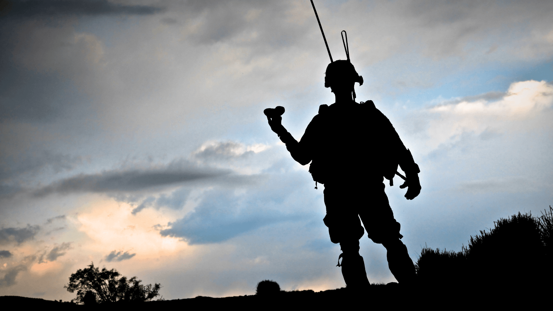 Defense and Military Services Hero